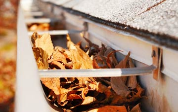 Elkins Green gutter cleaning companies