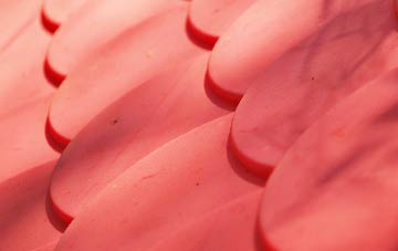 Elkins Green plastic roof costs