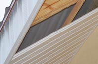 rated Elkins Green soffit repair companies